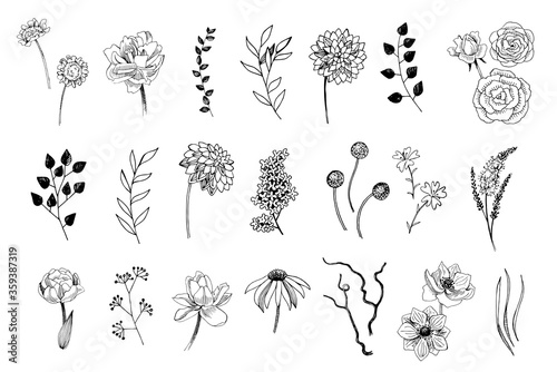 Set of hand drawn flowers, leaves and plants