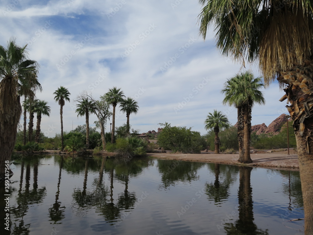 a lake in the Papago Park close to Phoenix in Arizona in the month of October, USA