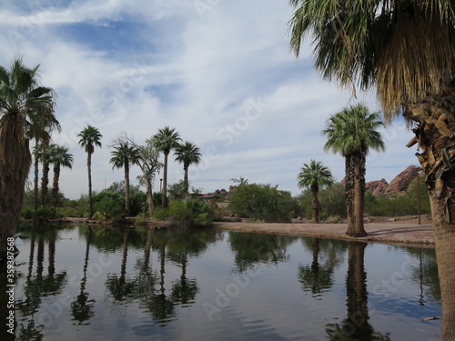 a lake in the Papago Park close to Phoenix in Arizona in the month of October, USA © Miriam