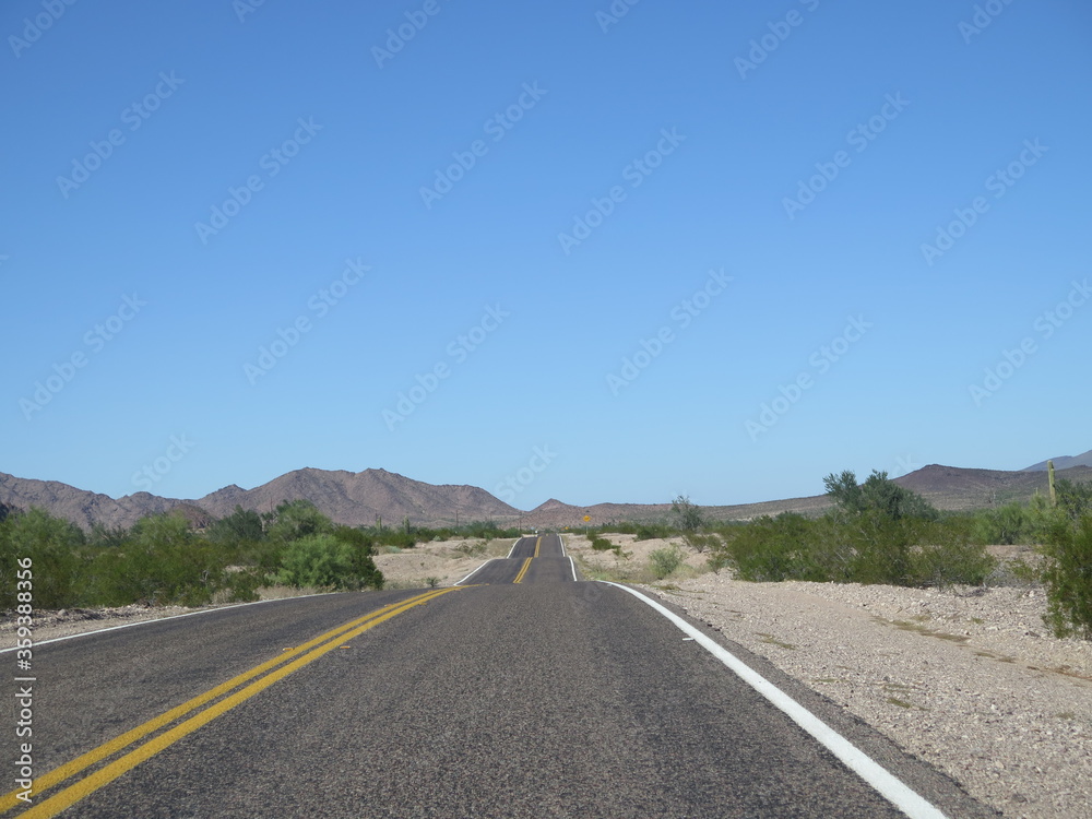 a road in the Sonoran Desert in Arizona in the month of October, USA