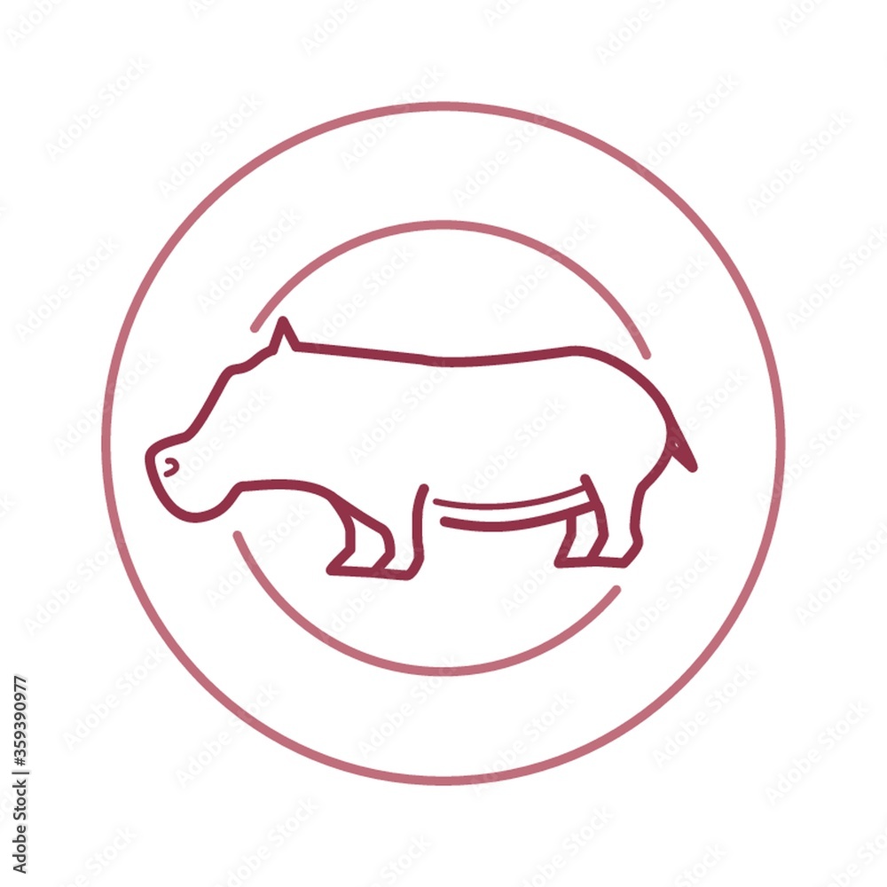 hippopotamus hippopotamus