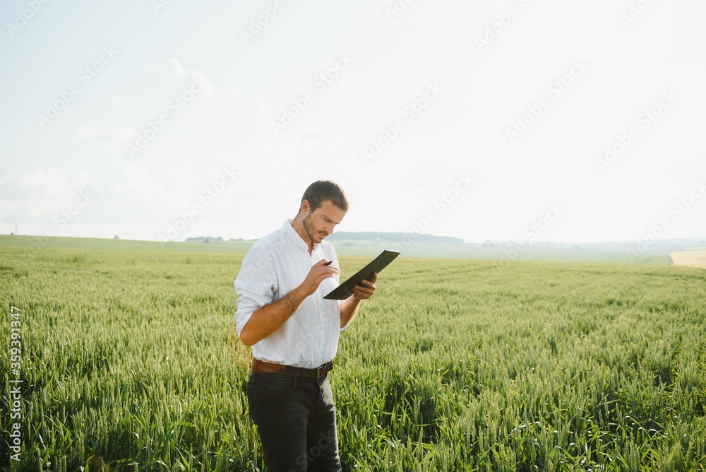 Portrait of farmer standing in young wheat field holding tablet in his hands and examining crop. Portrait of farmer standing in young wheat field holding tablet in his hands and examining crop.