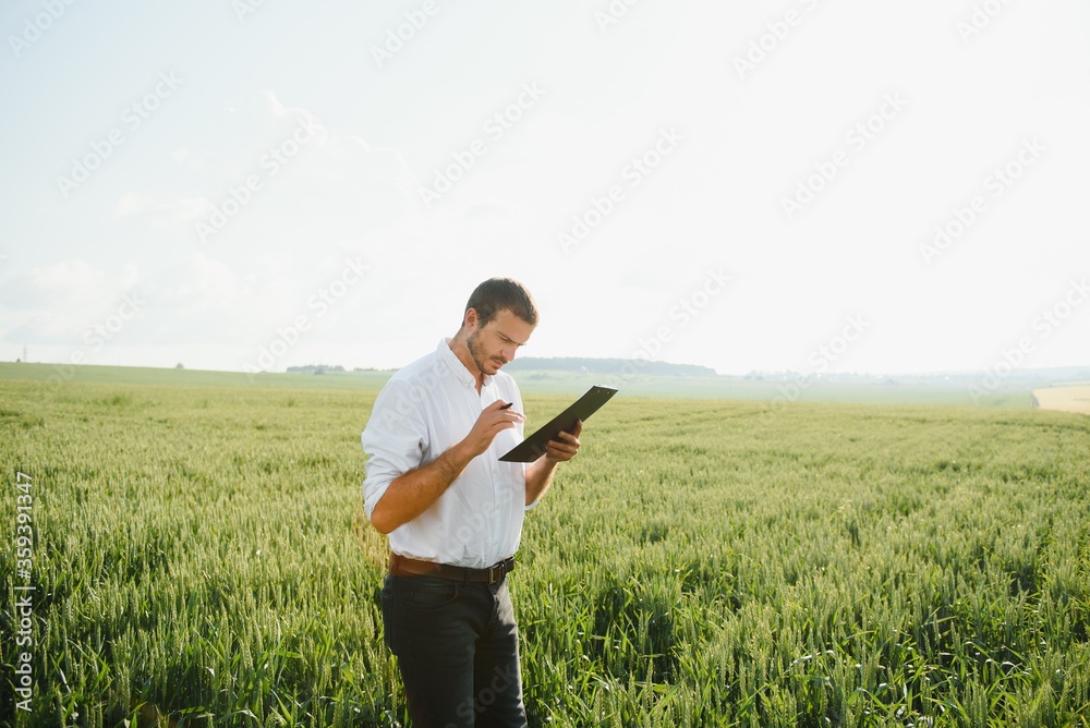 Portrait of farmer standing in young wheat field holding tablet in his hands and examining crop.