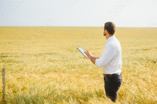 Portrait of farmer standing in young wheat field holding tablet in his hands and examining crop.