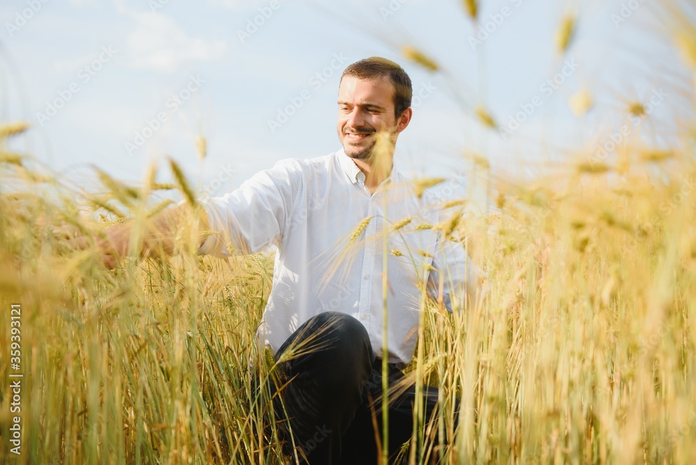 Happy young farmer or agronomist inspecting wheat plants in a field before the harvest. Checking seed development and looking for parasites with magnifying glass. Organic farming and food production Happy young farmer or agronomist inspecting wheat plants in a field before the harvest. Checking seed development and looking for parasites with magnifying glass. Organic farming and food production