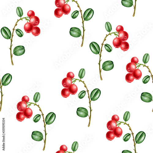 watercolor seamless pattern with berries of lingonberry