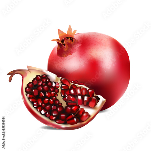 Vector realistic illustration of pomegranate. on a white background