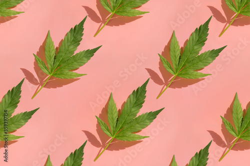 Pattern with green cannabis leaves on pink background