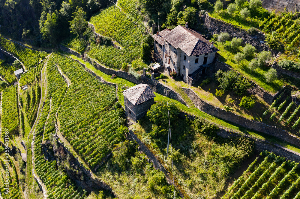 Valtellina (IT) - Aerial view of farm with vineyards in the Tresenda area Valtellina (IT) - Aerial view of farm with vineyards in the Tresenda area