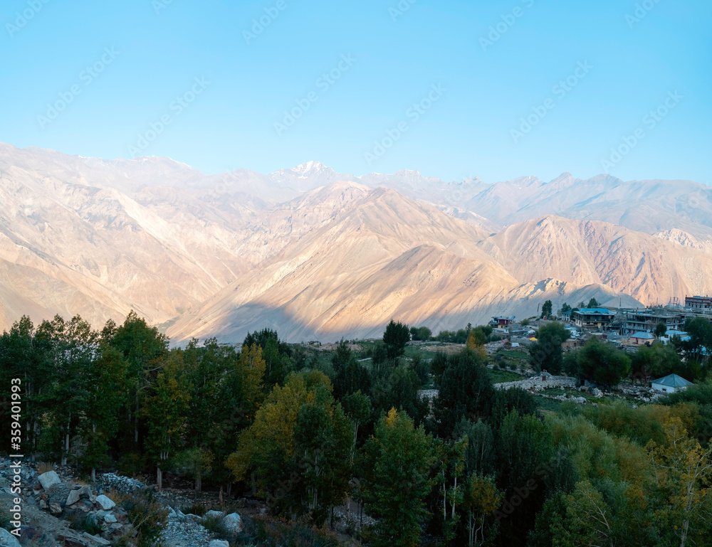 Nako village surrounded by Himalayas and trees at sunrise. Himachal Pradesh, India.