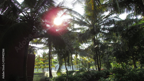 Marvelous Konkan.
Chiplun, Maharashtra photo