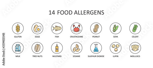 14 food allergens. Round colored vector icons with editable stroke. Gluten free milk eggs celery sesame nuts. Fish molluscs crustaceans soybean lupins. Chemical constituents of sulphur dioxide