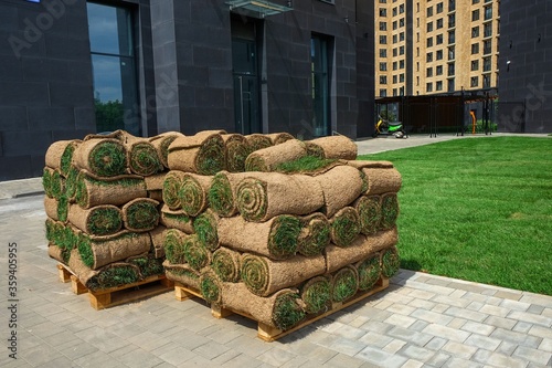 Pallets with sod turf grass. The stacked fresh sod rolls for new grass lawn in residential area. 