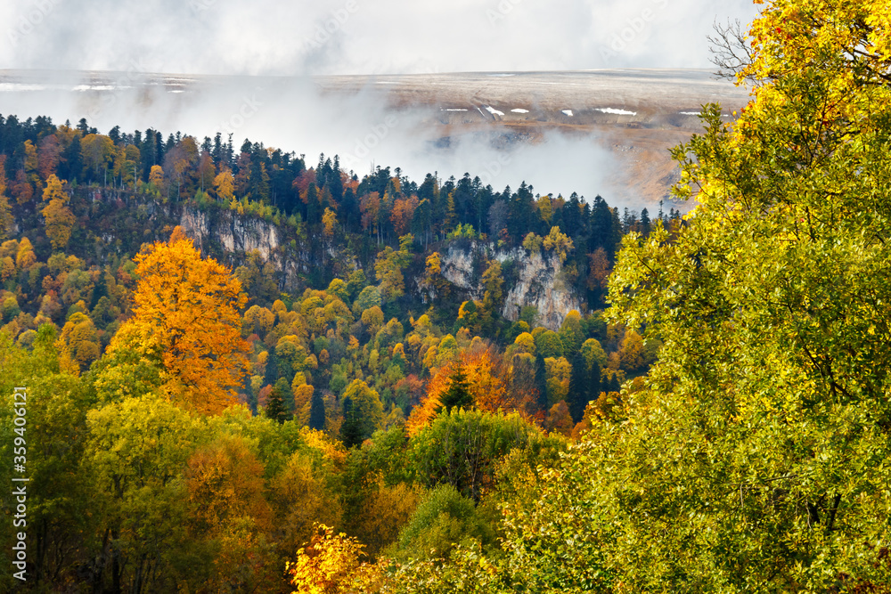 A fall colored forest on the slope of a hill with fog above it