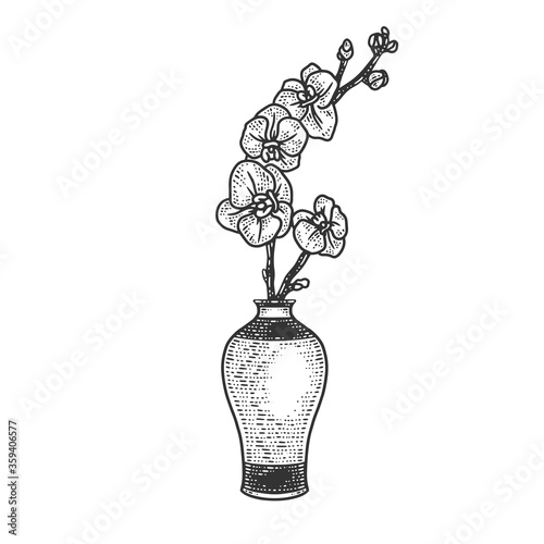 orchid in vase sketch engraving vector illustration. T-shirt apparel print design. Scratch board imitation. Black and white hand drawn image.