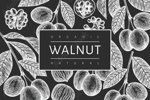 Hand drawn sketch walnut design template. Organic food vector illustration on chalk board. Retro nut illustration. Engraved style botanical background.