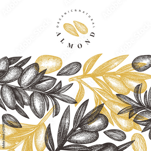 Hand drawn sketch almond design template. Organic food vector illustration. Vintage nut illustration. Engraved style botanical background.