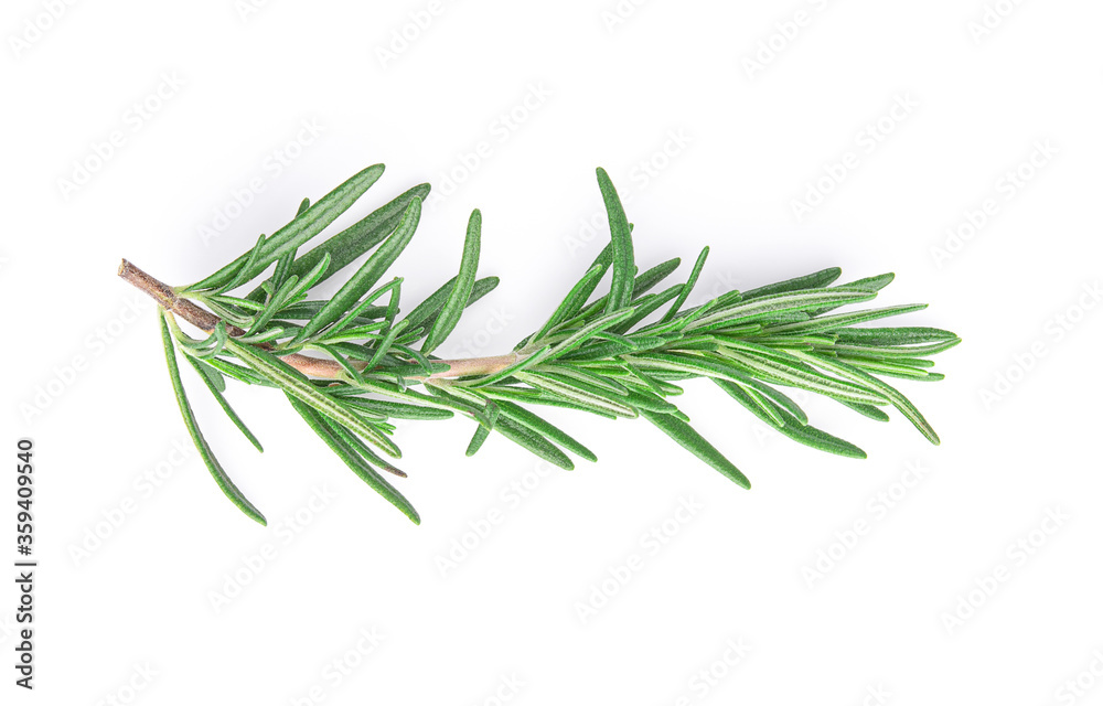 Rosemary isolated on white background, Top view.