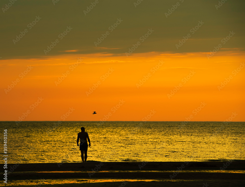 Man walking near the sea at sunset hours.Romantic holidays. Conceptual photo of summer holidays. man and bird