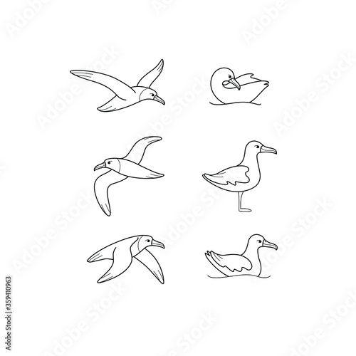 Cartoon bird icon set. Different poses of albatross. Vector illustration for prints, clothing, packaging, stickers.
