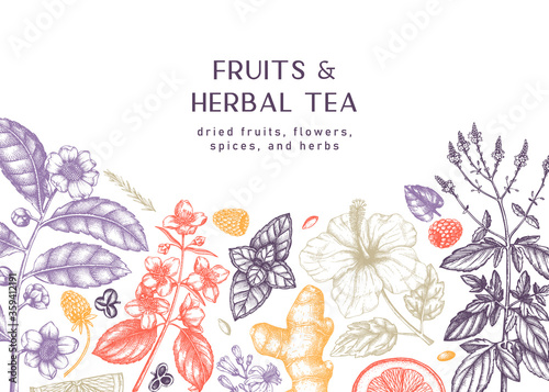 Hand sketched herbal tea ingredients banner. Vintage herbs and fruits sketches. Summer drinks background. Perfect for recipe, menu, label, packaging. Herbal tea template. 