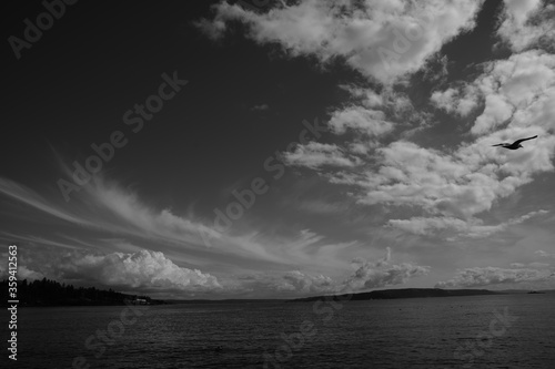 Black and white photo of the Oslofjord. A fjord in Norway.