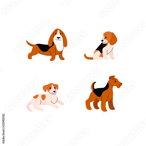 Different breeds of dogs - beagle, basset hound, jack russell terrier, welsh terrier. Cartoon vector illustration.