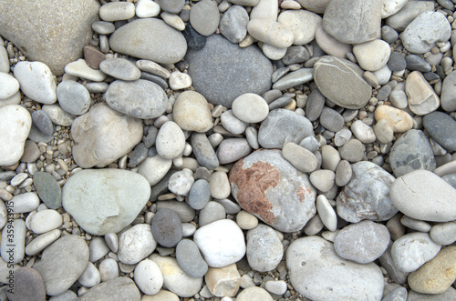 Varietà di sassi fotografati vicino ad un fiume.