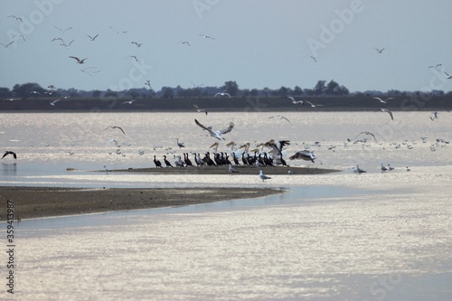 Lebedivka, Odessa Region, Ukraine photo