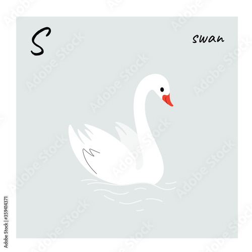 Cute swan - cartoon bird character. Vector illustration in flat style isolated on gray background.
