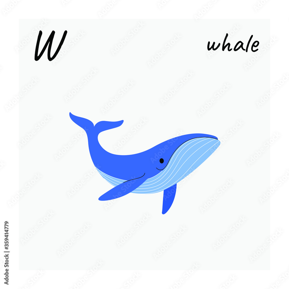 Cute whale - cartoon animal character. Vector illustration in flat style isolated on gray background. Cute whale - cartoon animal character. Vector illustration in flat style isolated on gray background.