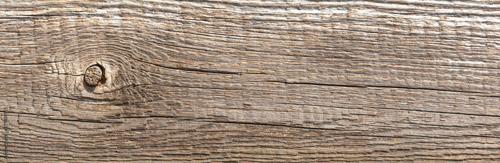 texture of old wood planks wall background
texture of old wood planks wall background