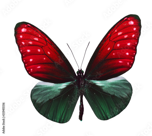 Red and Green butterfly isolated on white background © prin79