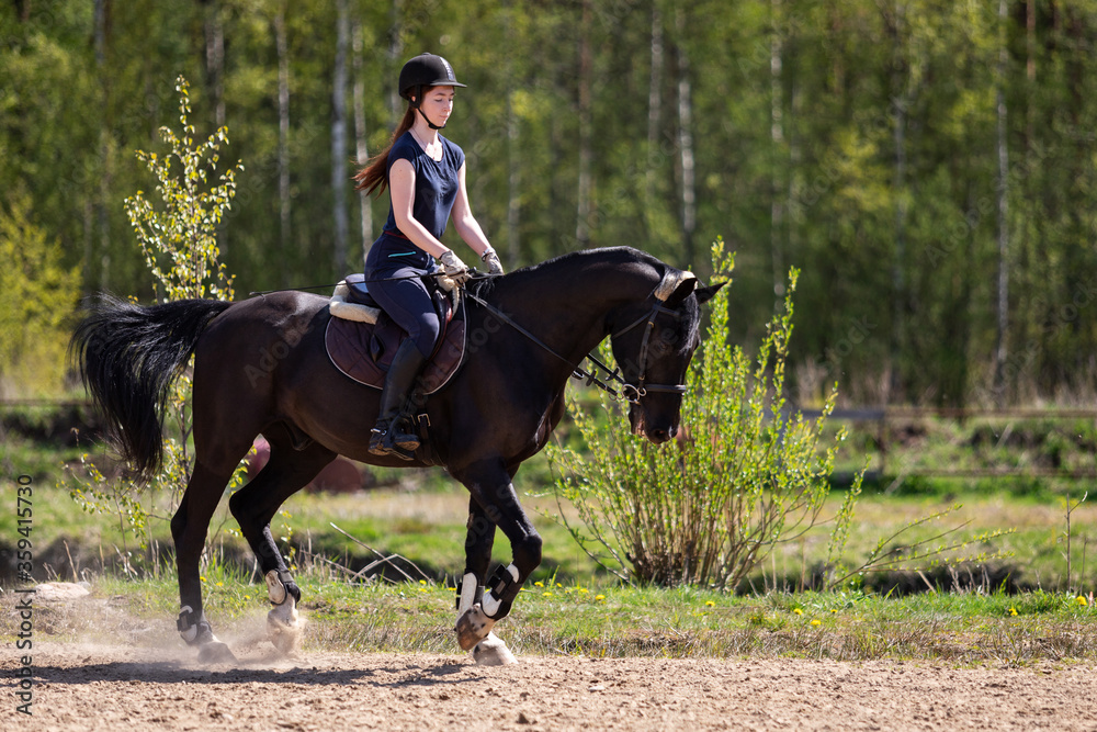 Beautiful girl riding a horse on manege Beautiful girl riding a horse on manege