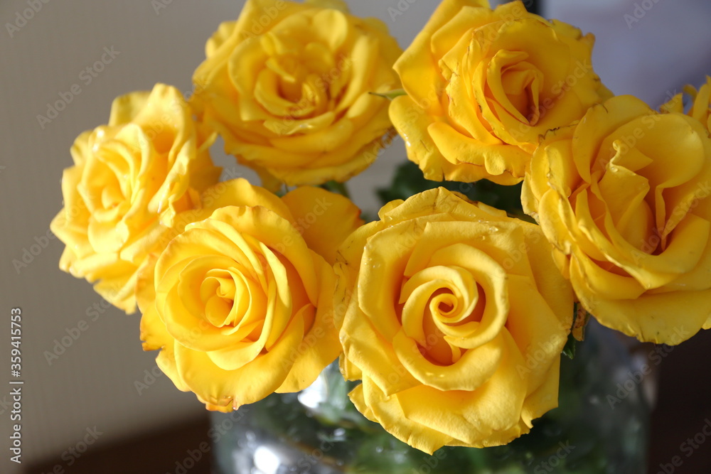 bouquet of yellow roses in a transparent vase bouquet of yellow roses in a transparent vase