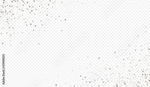 Silver Sequin Rich Transparent Background. Luxury 