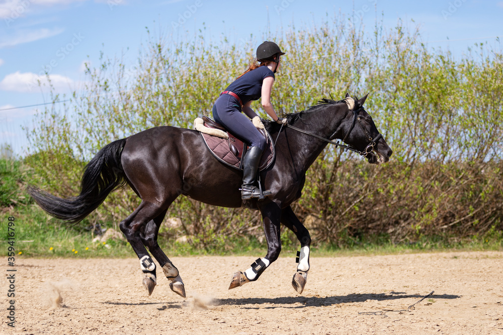 Beautiful girl riding a horse on manege Beautiful girl riding a horse on manege