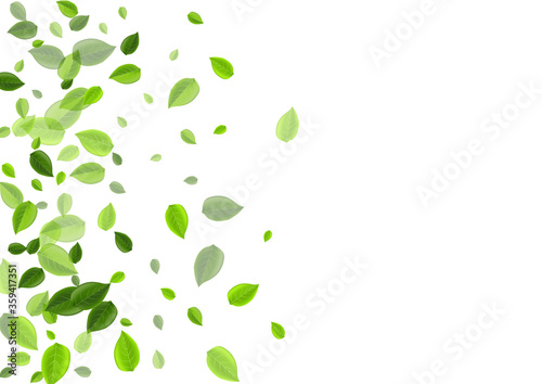 Lime Foliage Realistic Vector Banner. Motion Leaf 