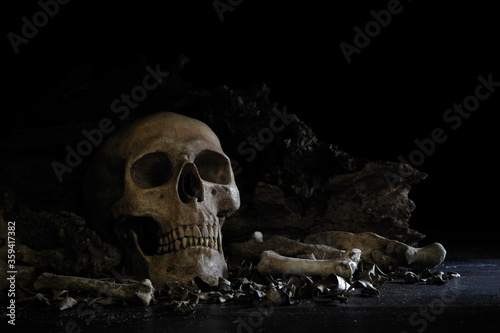 Skulls and bone put on decay timber and dark floor in old room which has dim light and dark background