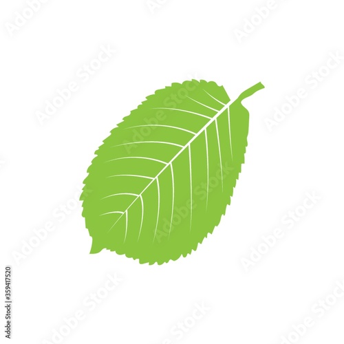 Leaf