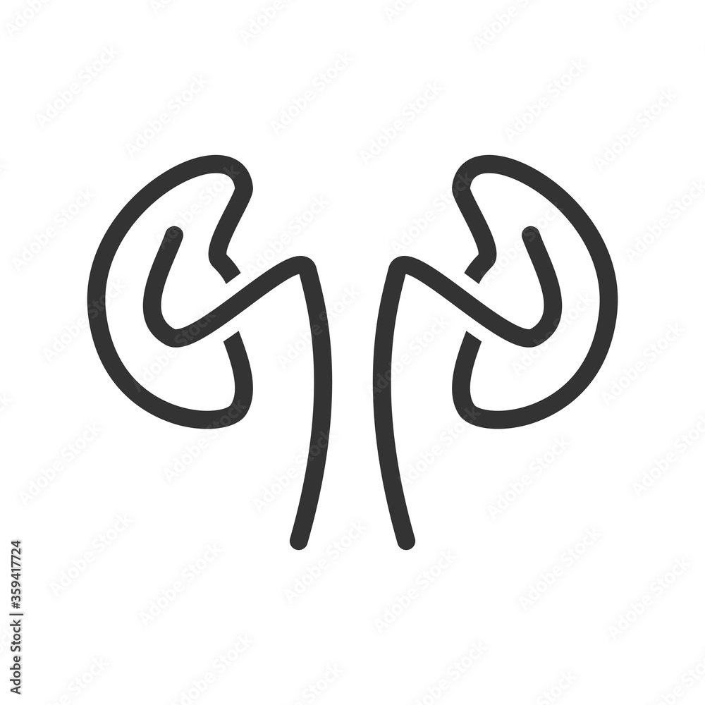 Kidney icon