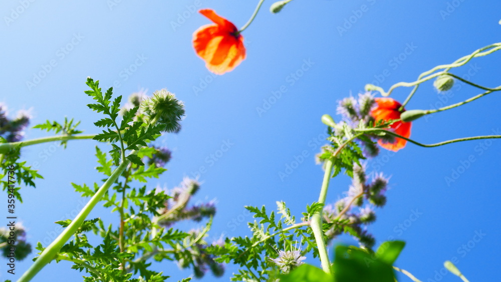 Obraz premium Erzgebirge