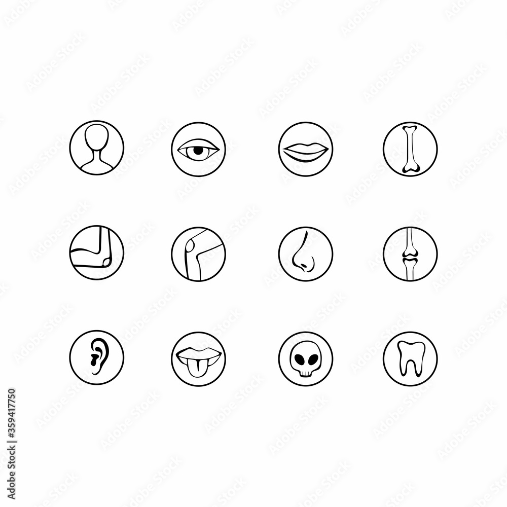 Human body parts icons. Anatomy, human senses. Thin line contour symbols. Isolated vector outline illustration