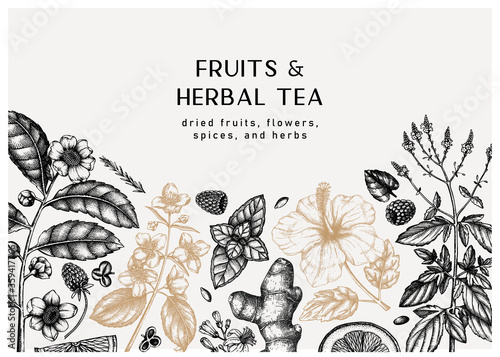 Herbal tea ingredients banner. Summer drinks recipe template with hand-sketched fruits, herbs, flowers, leaves. Herbal tea or matcha vintage  background