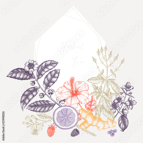 Vintage card or invitation with hand drawn tea ingredients. Hand sketched herbs, fruits, flowers, berries, leaves illustration. Herbal tea or matcha design