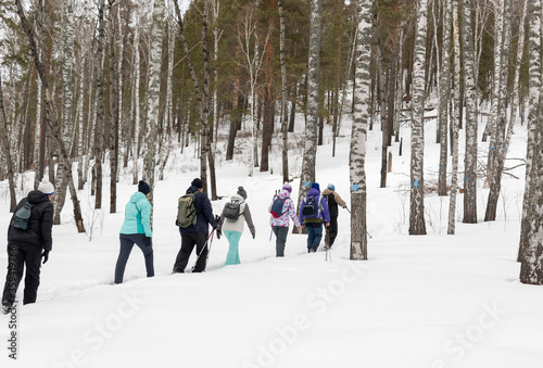 Group of people walks along a trail in forest. Winter, deep white snow. Mountain. Camping warm clothes, backpacks, sticks. View from back. Concept of winter tourism, travel, hiking.