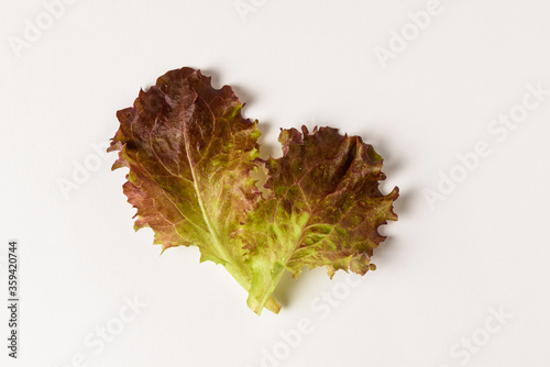 Fotografía Fresh lettuce salad leaves isolated on white background