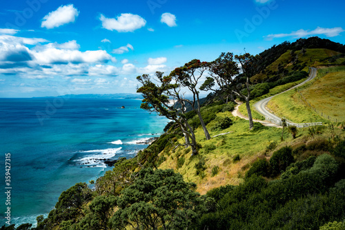 A view along the coastline of the pacific ocean from the famous mangawhai heads walk in northland new zealand photo