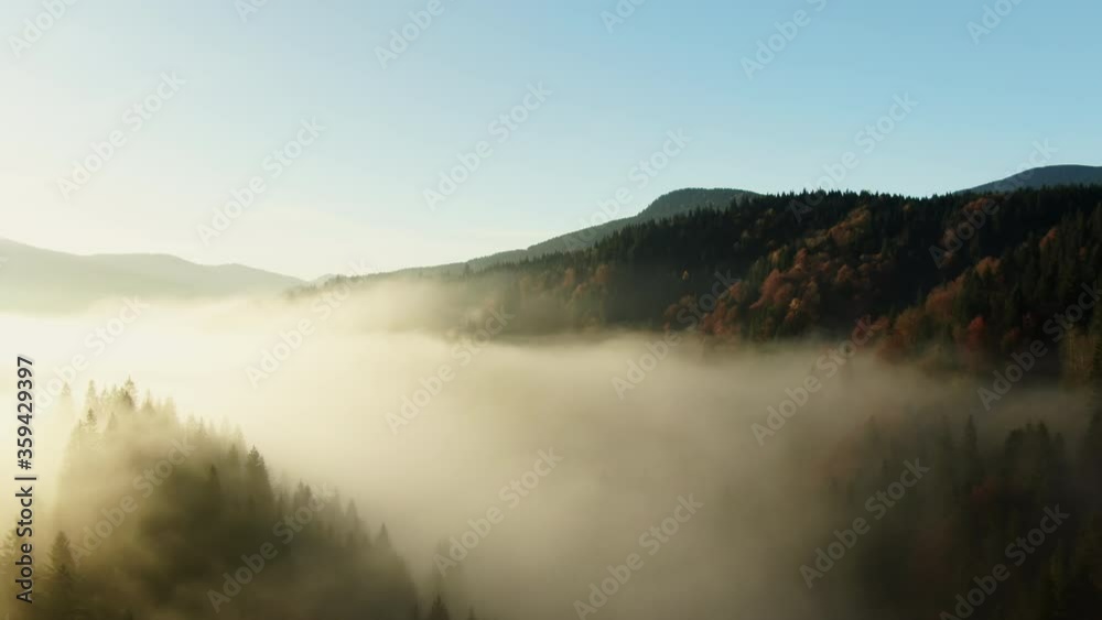 Breathtaking drone view of valley covered with thick fog near hills covered with trees against cloudless sky in autumn morning in countryside