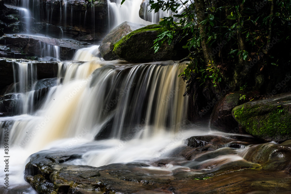 Obraz premium waterfall forest